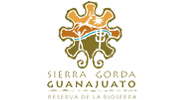 SGG-GTO