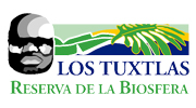 Tuxtlas