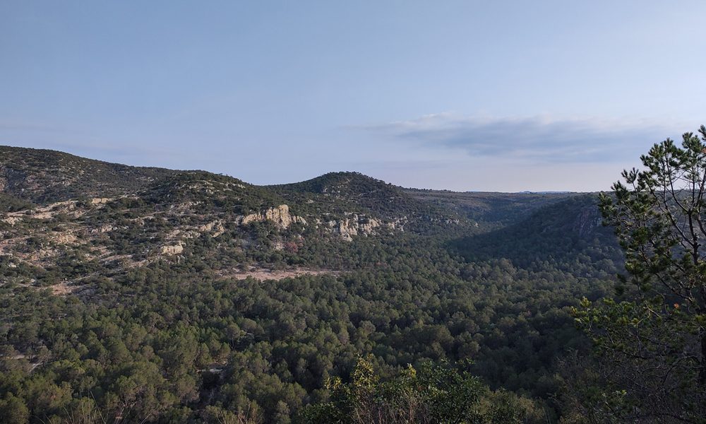 Areas Naturales Protegidas en Guanajuato