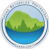anp