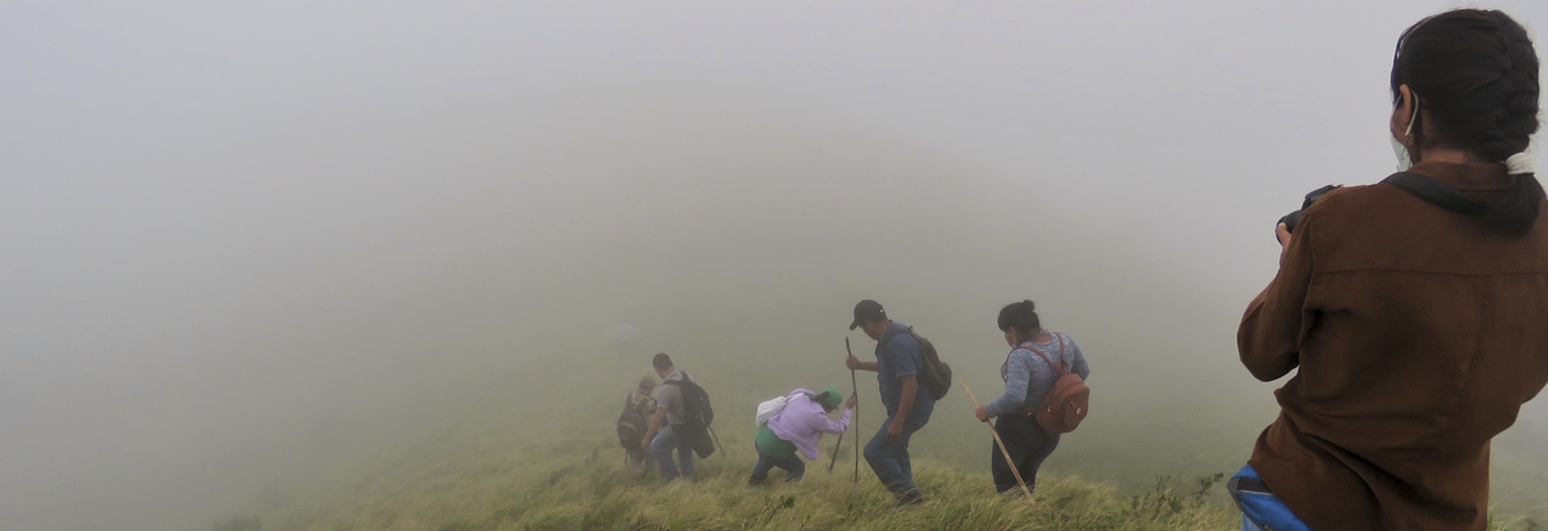Neblina en cráteres volcánicos de Los Tuxtlas